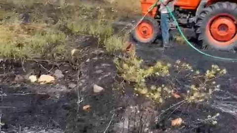 Kütahya'da Orman Yangını Kontrol Altına Alındı