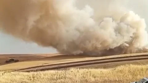 Mardin'de Anız Yangını Çıktı