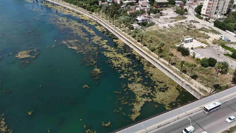 Adana Seyhan Nehri'nde Gönüllü Temizlik