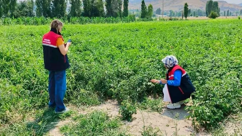 Afyonkarahisar'da Tarım Arazileri Korunuyor