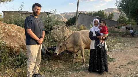 Ayni Teyzeye Yeni İnek Destek Oldu