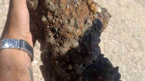 Çanakkale'de Plajda Askeri Mühimmat Bulundu