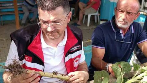 Tekirdağ'da Dolu Hasarı Tespiti Devam Ediyor