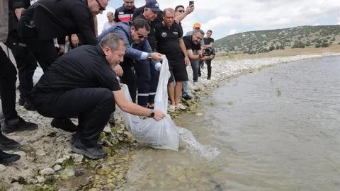 Kütahya'da Balık Yavrusu Bırakıldı