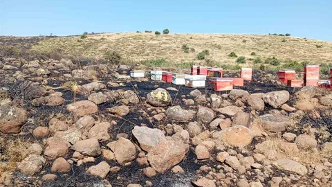 Elazığ'da Arazi Yangını Yaşandı