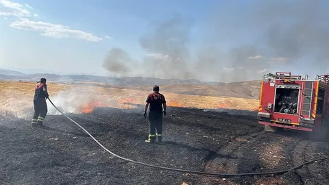 Siirt'te Anız Yangını Söndürüldü