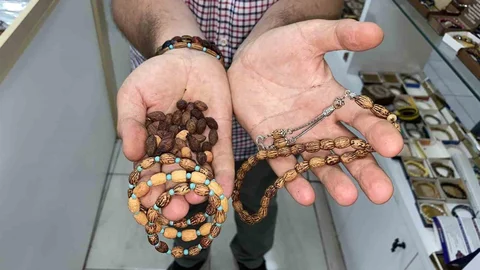 Sivas’ta Zeytin Çekirdeği İle Geri Dönüşüm