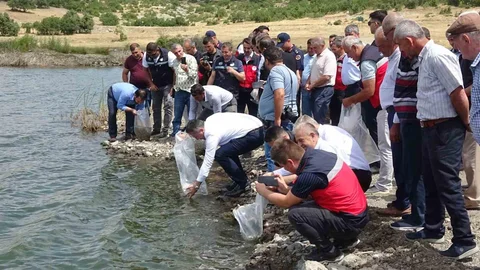 Kütahya'da 123 Bin Yavru Sazan Salındı