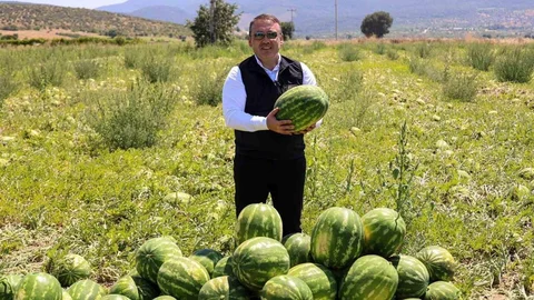 Bilecik'te Karpuz Hasadı Beklentisi