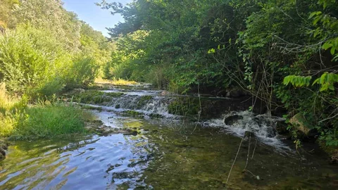 Samsun'da Dere Yürüyüşü Etkinliği
