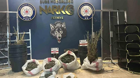 Muğla'da Uyuşturucu Operasyonu Gerçekleşti