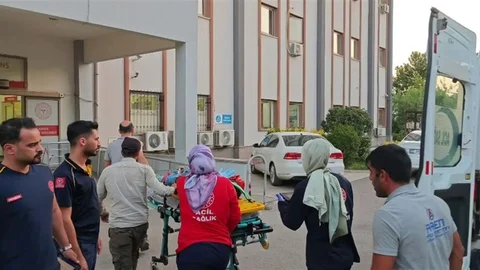 Adıyaman'da Kamyonet Devrildi, 6 Yaralı