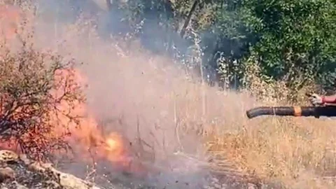 Diyarbakır'da Orman Yangını Devam Ediyor
