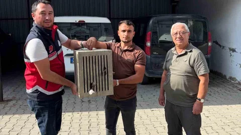 Kastamonu'da Yaralı Leylek Koruma Altına Alındı
