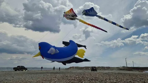 Tekirdağ'da Uçurtma Şenliği Coşkusu