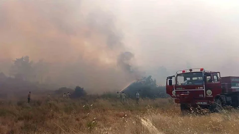 Muğla Menteşe'de Orman Yangını Çıktı