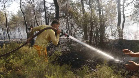 Muğla'da Yangınla Mücadele Devam Ediyor