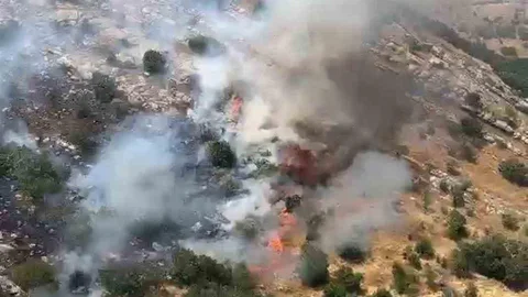 Diyarbakır'daki Orman Yangınları Kontrol Altına Alındı