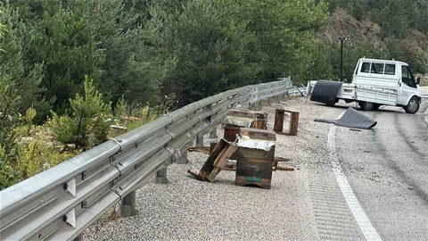Kastamonu'da Kamyonet Kazası ve Arı Telefi