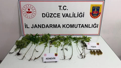 Düzce'de Jandarma Operasyonu