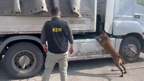 Şırnak'ta Uyuşturucu Operasyonu Başarıyla Tamamlandı