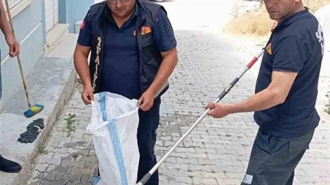 Afyonkarahisar'da Yılan Paniği Yaşandı