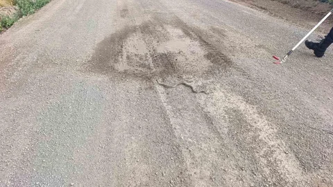 Sivas'ta Yılan İhbarı İtfaiyeyi Harekete Geçirdi
