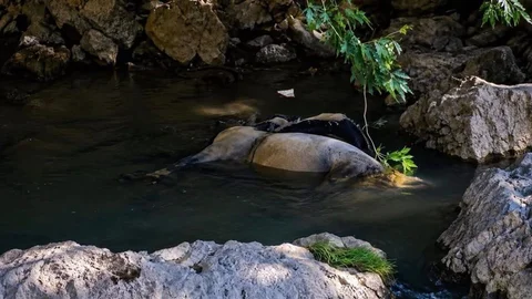 Hakkari'de Kayıp Vatandaş İçin Aramalar Devam Ediyor