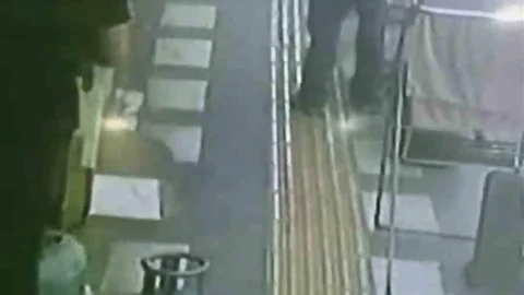 Mardin'de Papağan Hırsızlığı Kamerada