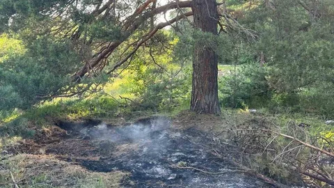 Kars Sarıkamış'ta Orman Yangını Kontrol Altına Alındı