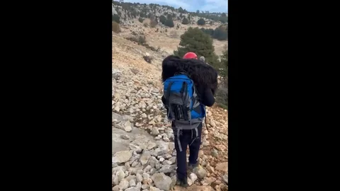 Erdemli'de Mahsur Kalan İki Keçi Kurtarıldı