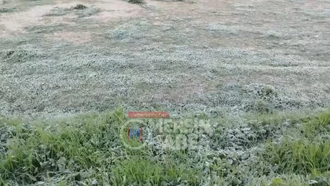 Tarsus’ta Kış Soğukları Buzlanma Yarattı