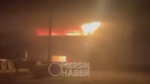 Mersin'de Tırmıl Sanayi Sitesi'nde Yangın Görüntüleri Ortaya Çıktı