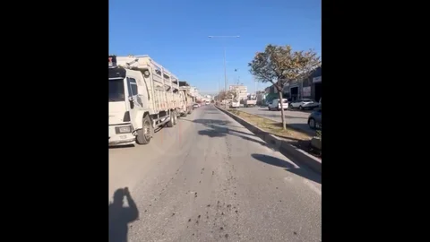 Şevket Sümer Mahallesi'nde TIR Sorunu Devam Ediyor