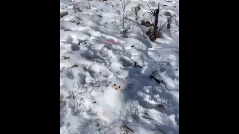 Mersin Beyaza Büründü: Kardan Adamlı Görüntüler Sosyal Medyada Paylaşıldı