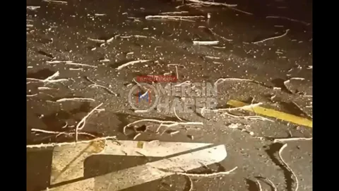 Mersin'de Yıldırım Düşmesi Sonucu Ağaç Yok Oldu