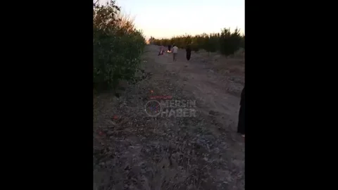 Silifke'de Tarım İşçileri Rüzgarla Mücadele Ediyor