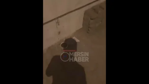 Sosyal Medya Tehdidiyle Kedi Yuvası İade Edildi