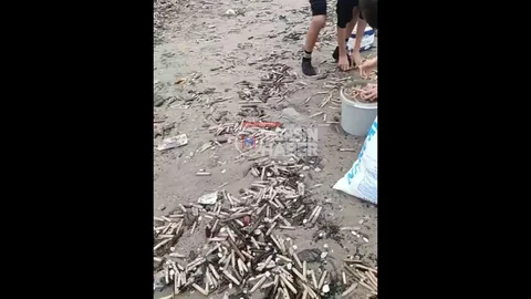 Mersin Sahiline Midye Yağmuru Düştü