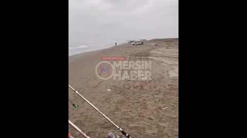 Mersin'de Fırtına Sonrası Kargı Midyesi Kıyıya Vurdu