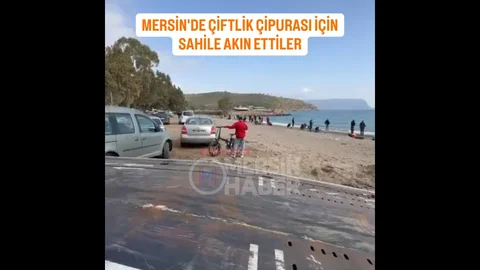 Gülnar'da Balık Çiftliği Kaçak Çipuralar ile Doldu