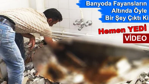 Banyo duvarından çıkan şeyi böyle yedi