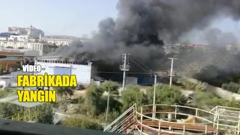 Mersin Organize Sanayinde Fabrika Yangını Videosu