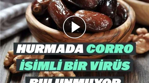 Hurmalarda Corro Virüsü Yok