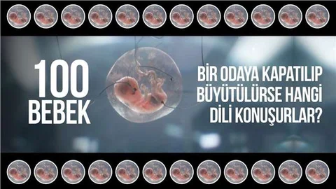 100 Bebek Bir Odaya Kapatılıp Büyütülürse Hangi Dili Konuşurlar?