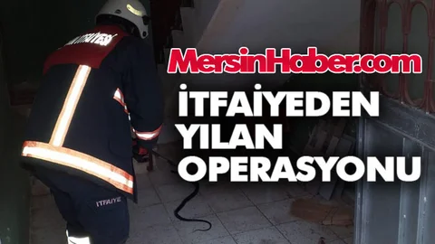 İtfaiye Ekiplerinden Erdemli'de Yılan Operasyonu