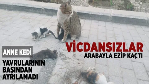 Mersin'de Yürek Yakan Olay!