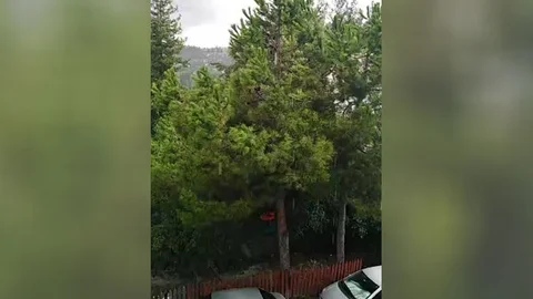 An İtibari İle Mersin Çamlıyayla'da Yağmur