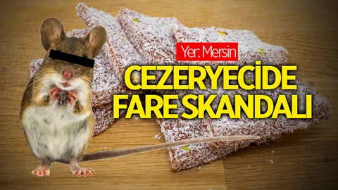 Mersin’de Cezeryecide Şok Eden Görüntü