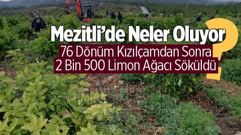 Mezitli'de Neler Oluyor!